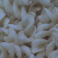 09 04 05 1529 001