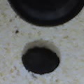 09 04 05 1533