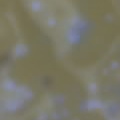 09 04 05 1646