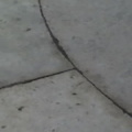 25 03 05 1157