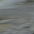 27 03 05 1202