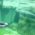 DSC00692