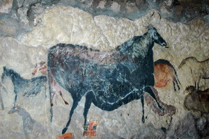 DSC 0151