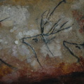 DSC 0153