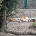 DSC_0212_edited_1.jpg