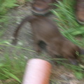 IMGP0332