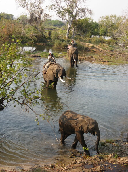 img-103.jpg
