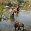 img-103