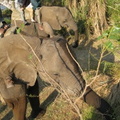 img-105