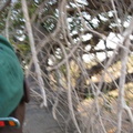 img-109