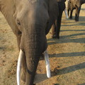 img-112