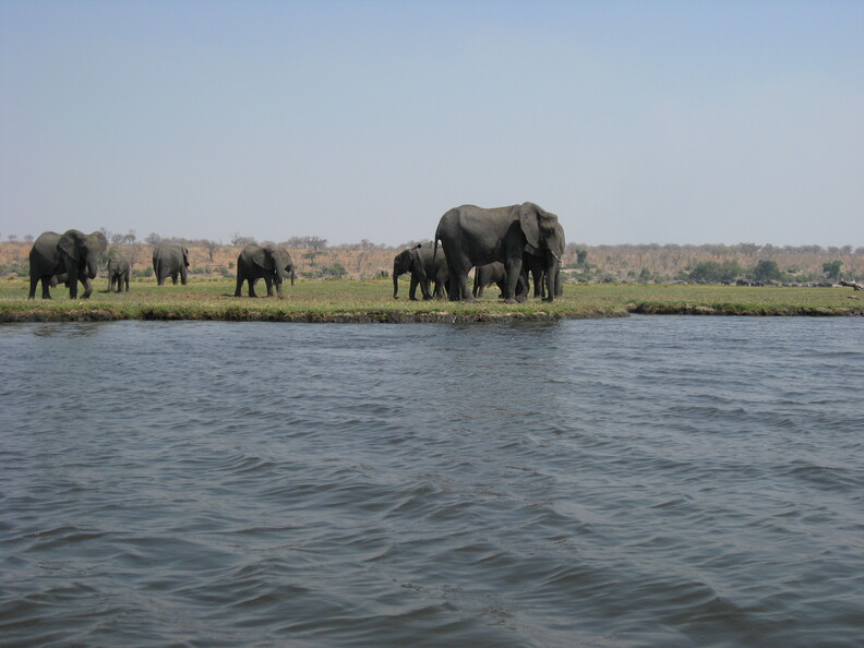 img-116.jpg