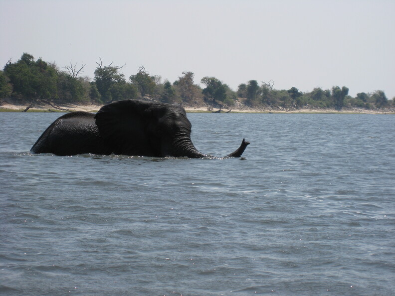 img-119.jpg