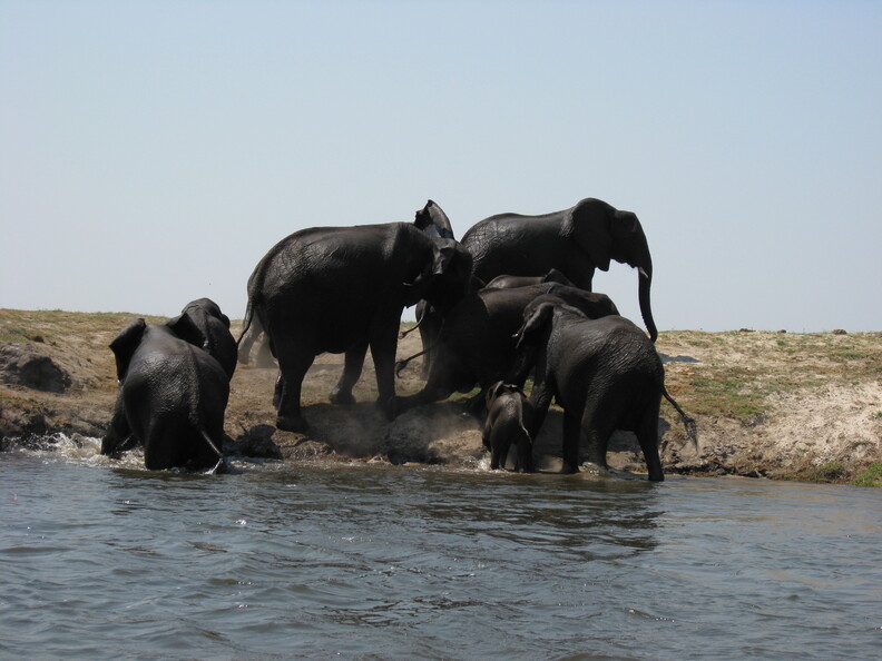 img-120.jpg