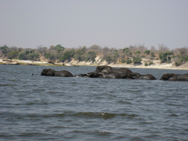 img-125.jpg