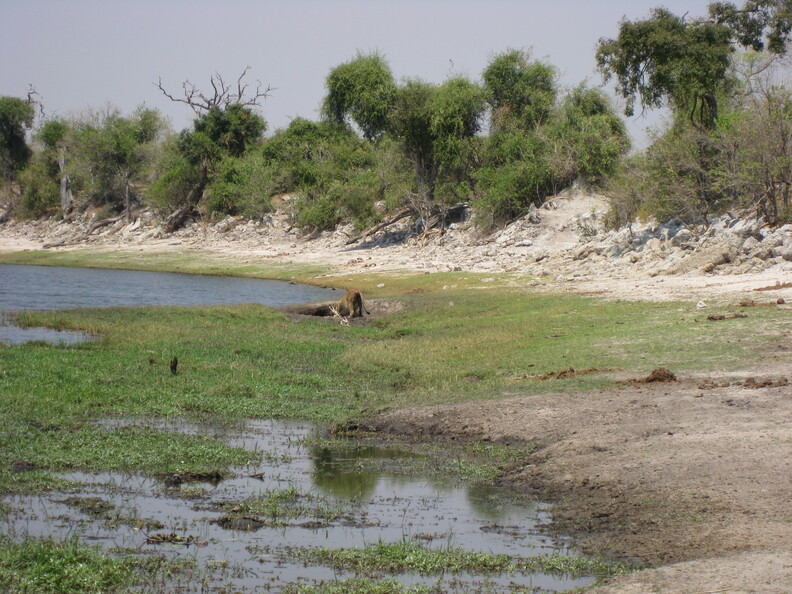img-128.jpg