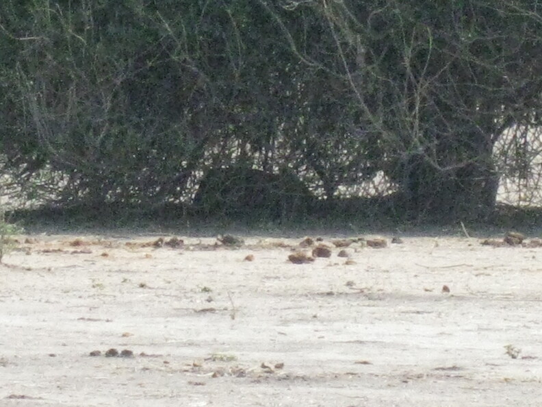 img-132.jpg