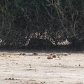 img-133