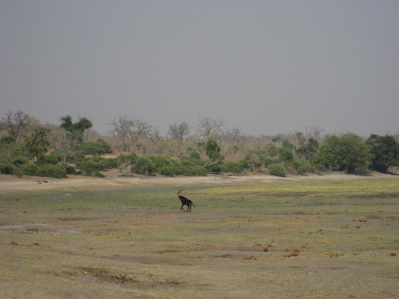 img-134.jpg