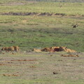 img-136