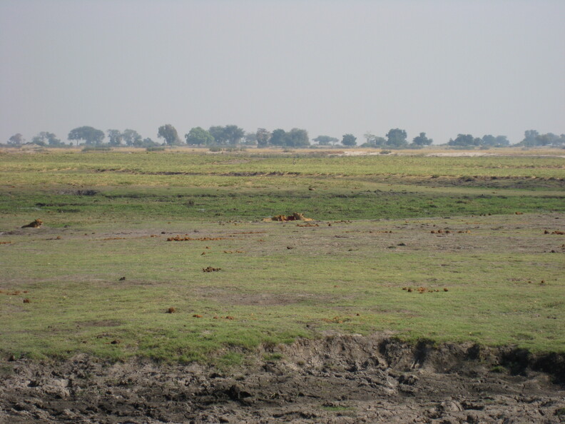 img-137.jpg