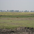 img-137