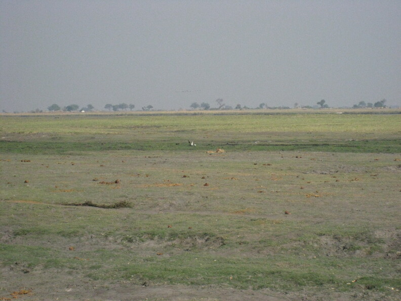 img-139.jpg