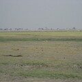 img-139
