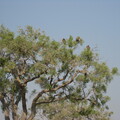 img-140