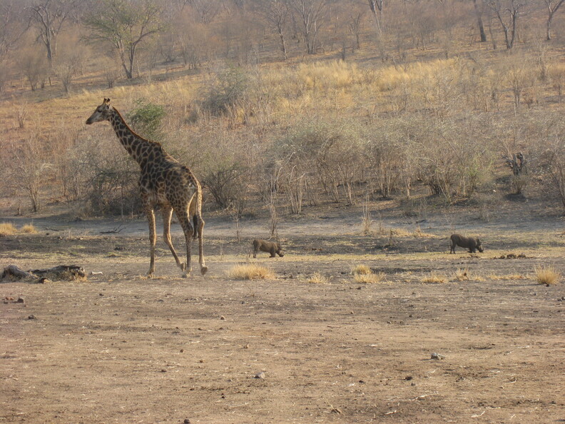 img-144.jpg