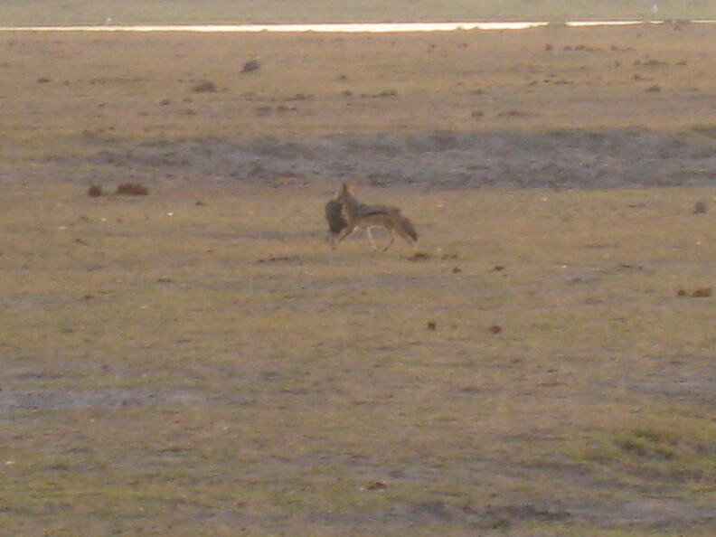 img-148.jpg