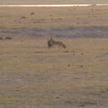 img-148