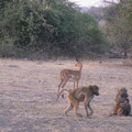 img-149