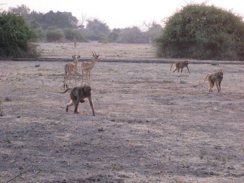 img-150.jpg
