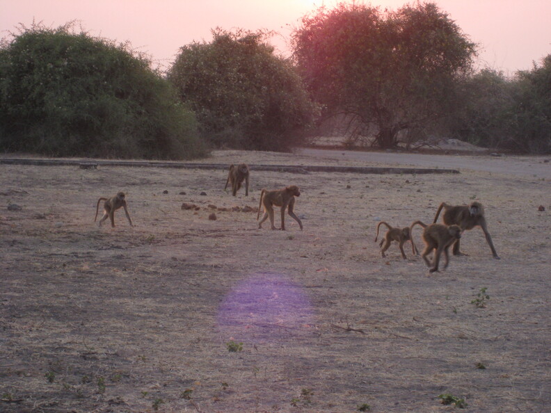 img-151.jpg