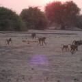 img-151