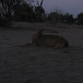 img-159