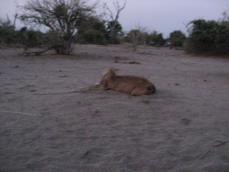 img-162.jpg