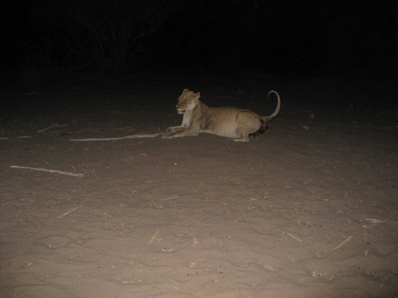 img-163.jpg
