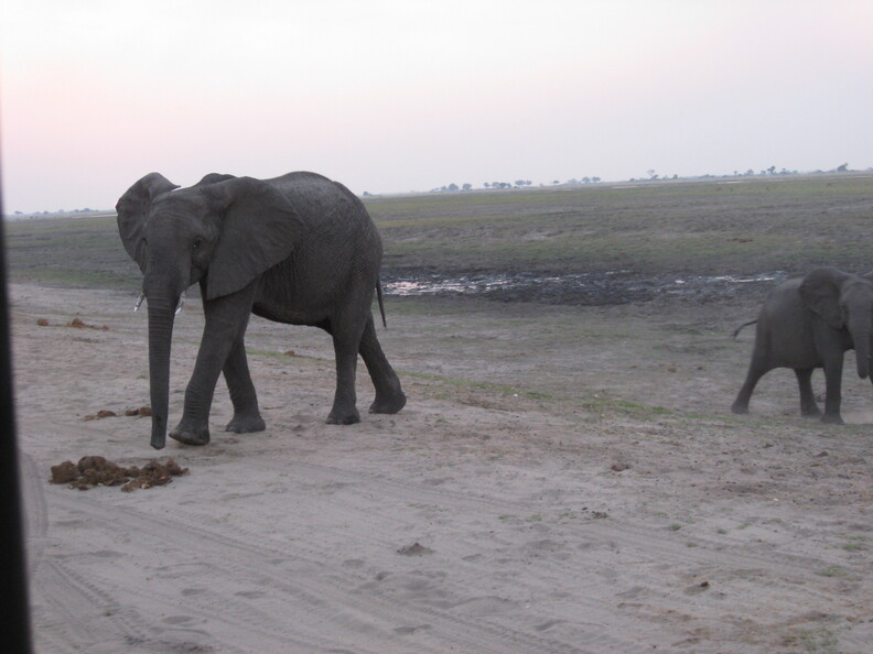 img-164.jpg