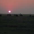 img-166