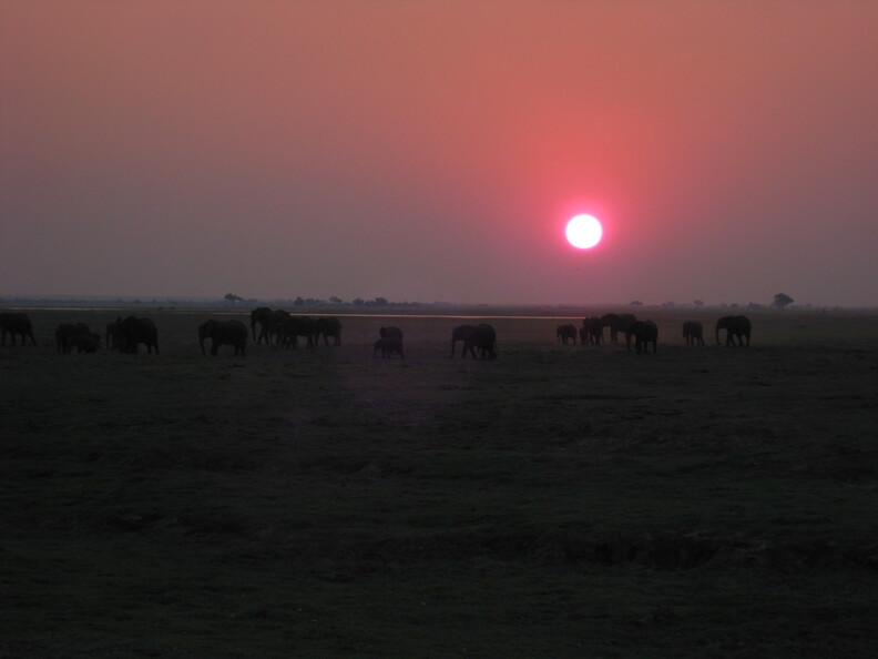 img-168.jpg
