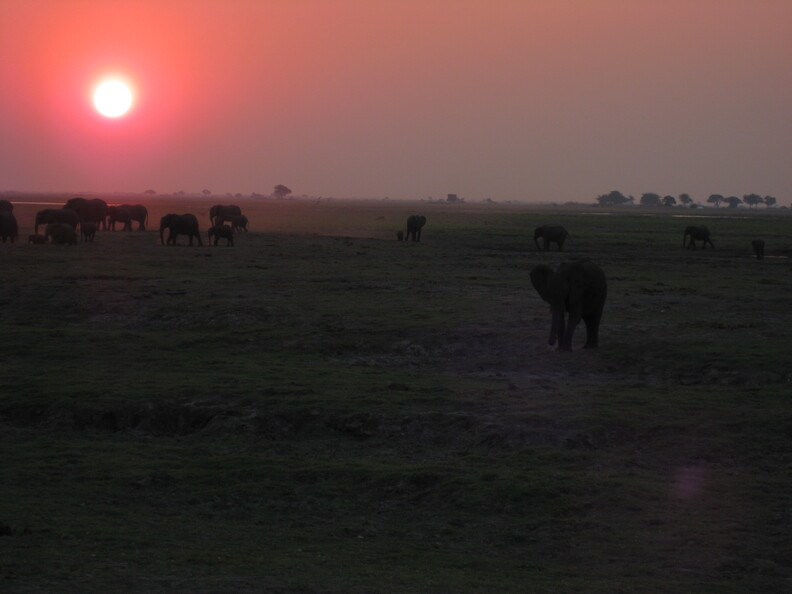 img-170.jpg