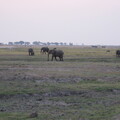 img-173