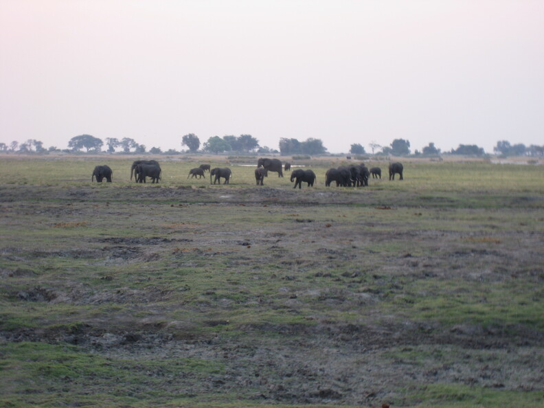 img-174.jpg
