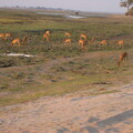 img-176