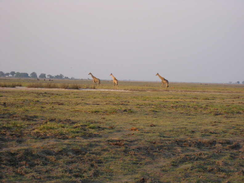 img-177.jpg