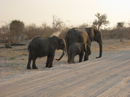 img-178