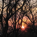 img-18.jpg