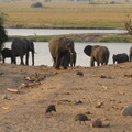 img-183